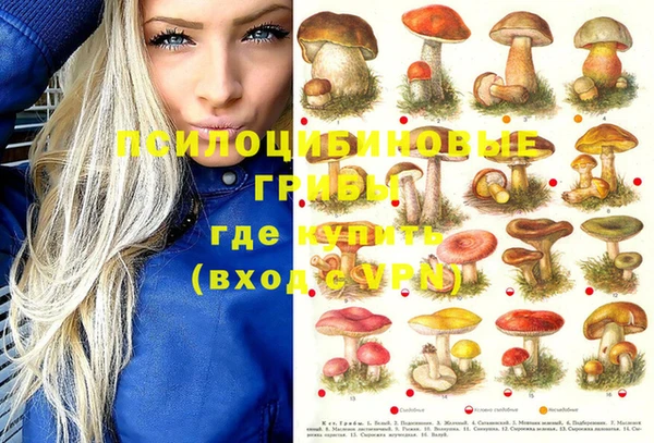 гидропоника Кодинск
