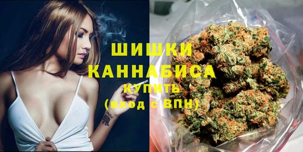 ALPHA PVP Козельск