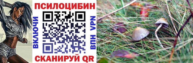 Купить закладки Мамоново Псилоцибиновые грибы GOLDEN TEACHER